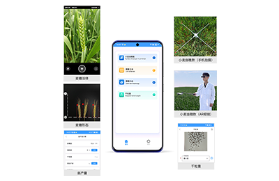 固原市小麦亩穗数分析仪IN-XM02